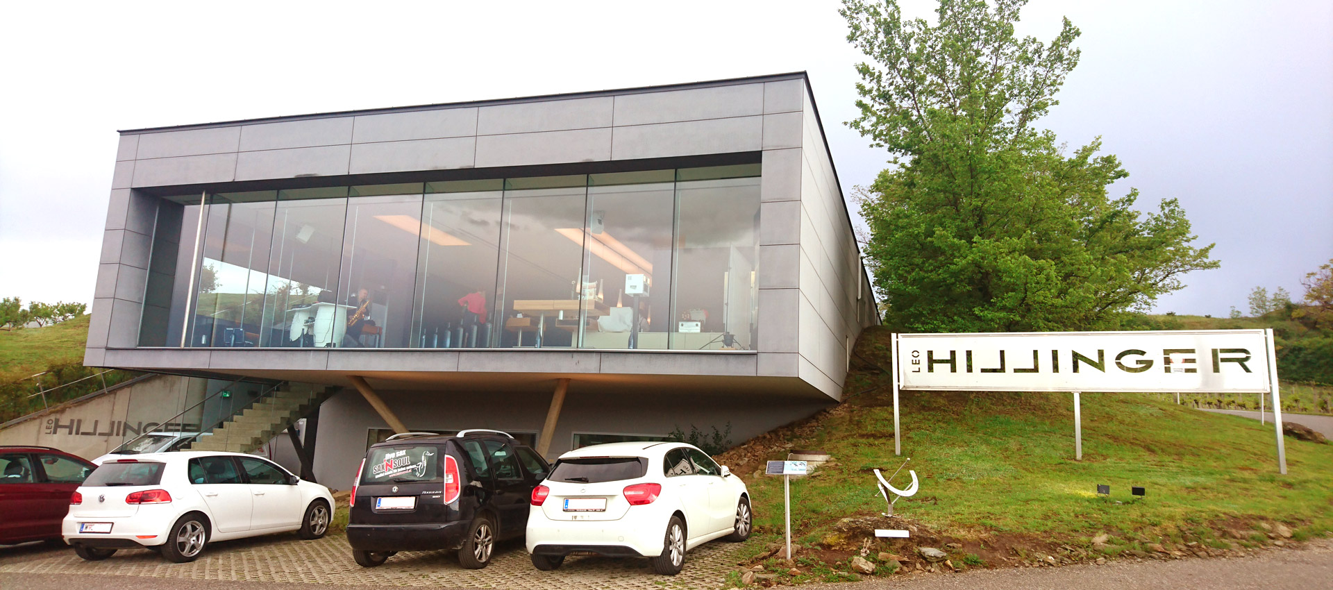 Photo Hochzeit Weingut Leo Hillinger (Burgenland)