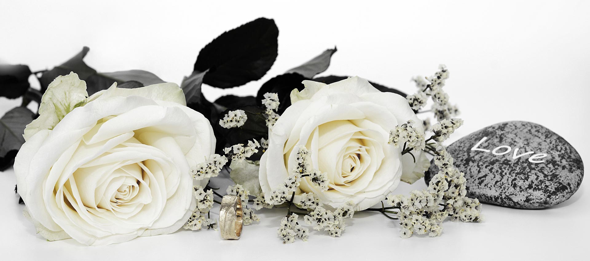 Rosen Hochzeitsparty @ Mozarthaus Wien